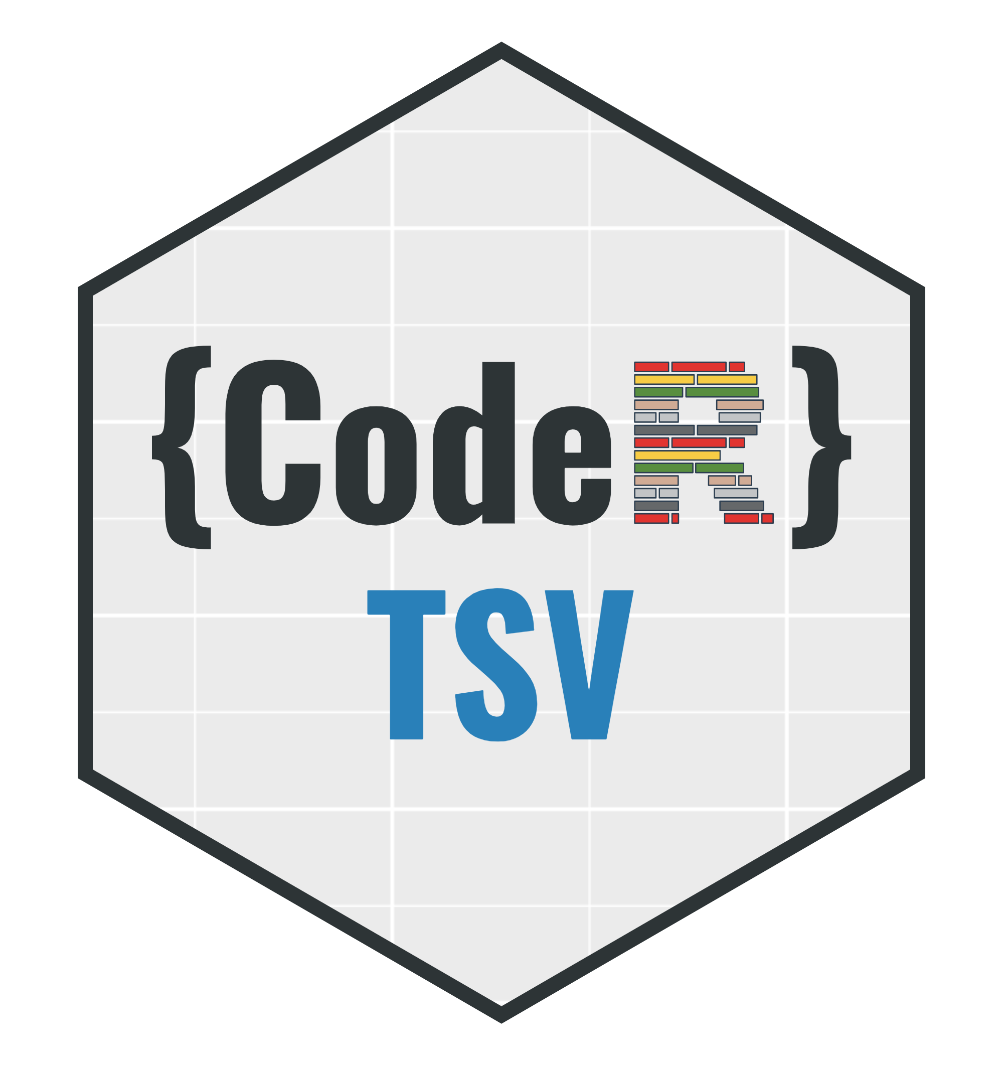 CodeR-TSV